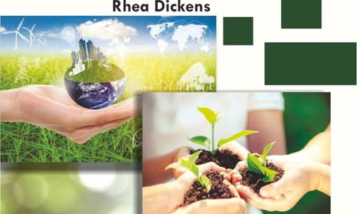 权威牛板筋功效和营养价值平台,分享专业牛板筋的功效与作用及食用方法知识_牛板筋功效网