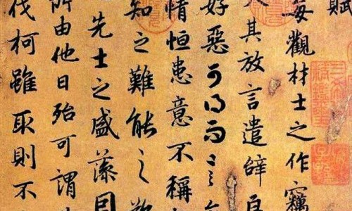 牛板筋有什么药用价值-权威牛板筋功效和营养价值平台,分享专业牛板筋的功效与作用及食用方法知识_牛板筋功效网